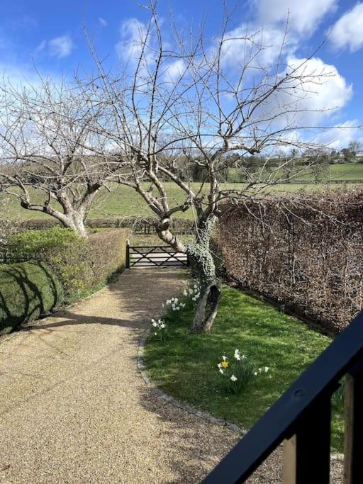 Little Studio Annexe Marlow  Extérieur photo